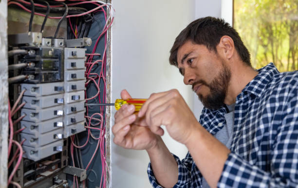 Best Electrical Panel Upgrades  in Belzoni, MS